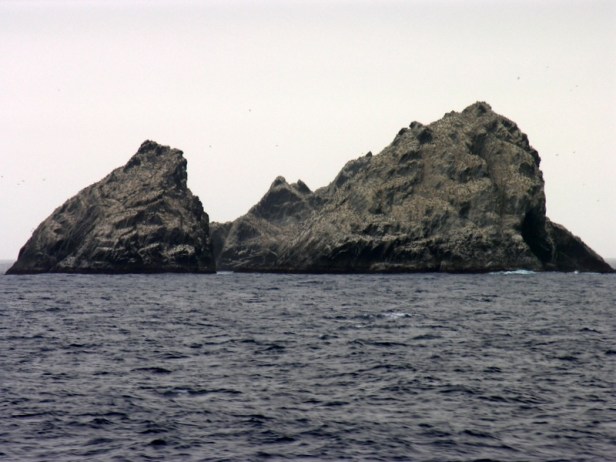 Shag Rocks, En Route to South Georgia Island