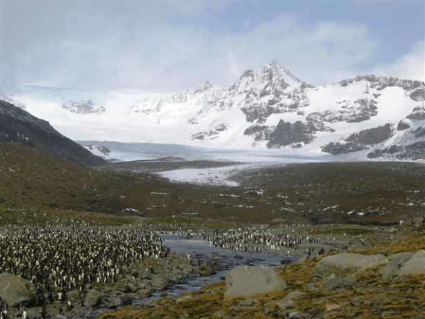 South Georgia IslandPhoto Credit: Melissa Rider/National Science Foundation