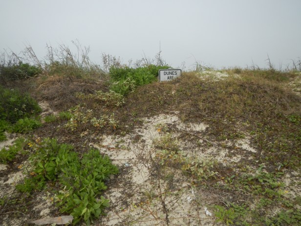 Sign partially buried by dune at San Luis Pass.