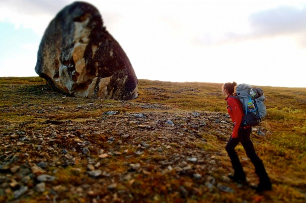 Figure 9: Denali National Park and Preserve; one of the most beautiful places on earth! 