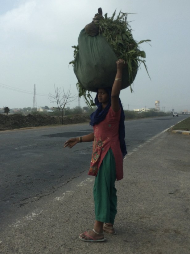 In the countryside, workers balance large loads on their heads. 