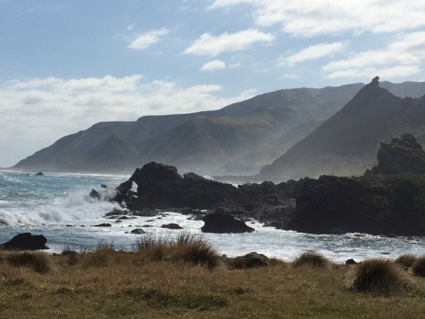 A view of “Kupe Sail” from Cape Palliser.  It is made of tilted Miocene Mangatoetoe sedimentary rocks overlying  Mesozoic basement rocks.