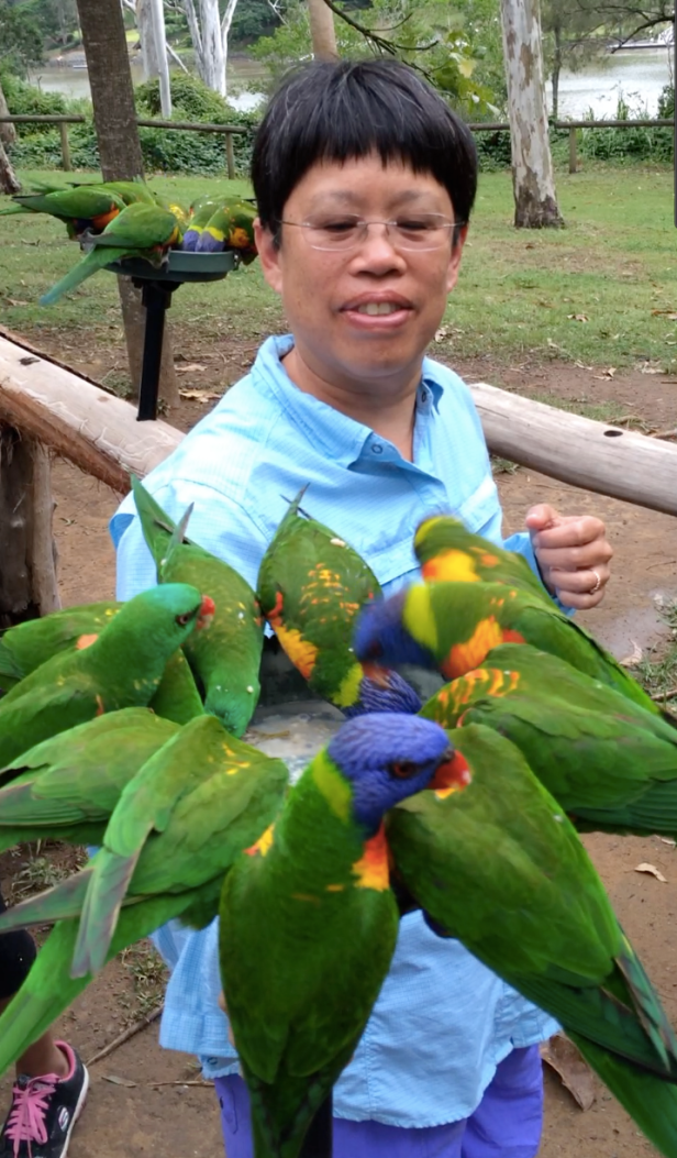 and got a close look at lorikeets...