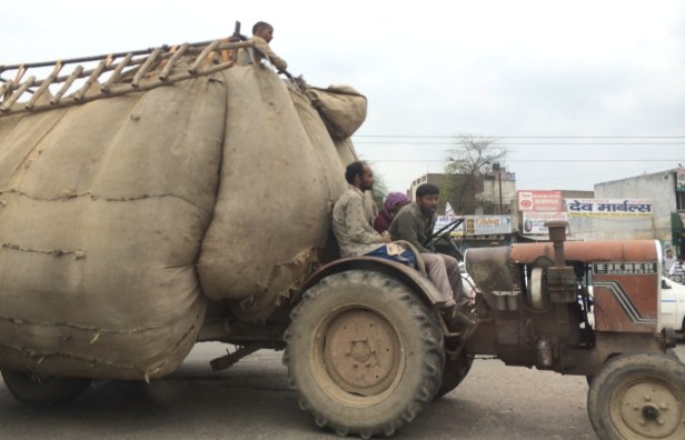 What is inside the monstrous bags? 