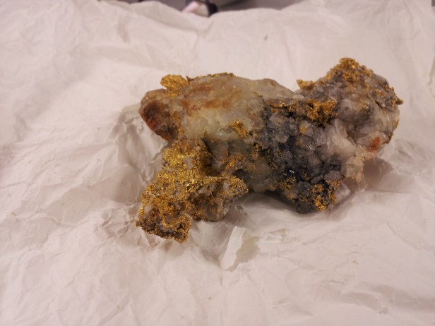 Gold sample recovered from the Maryland Mine. About~4.5 inches in length