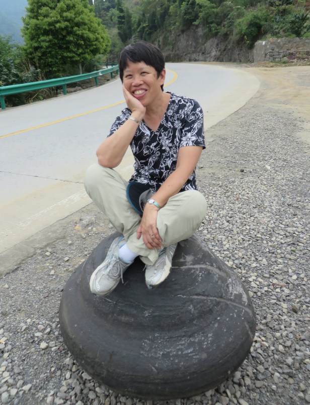 Several villages in the mountains have quarry storage areas for large stone monoliths for sale.  I contemplate on the large black shale concretions, and wonder about its formation…