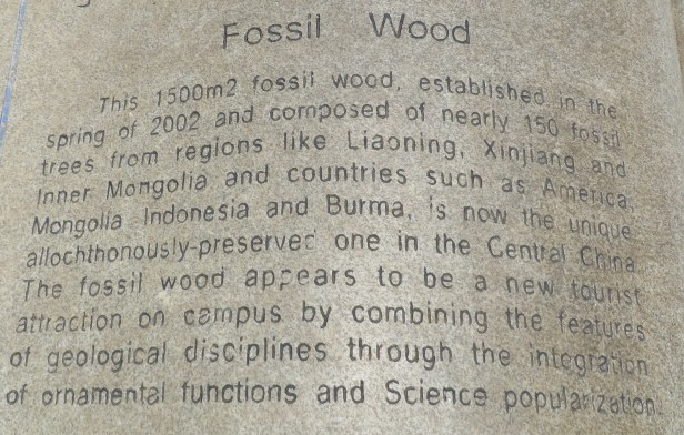 Petrified forest sign.