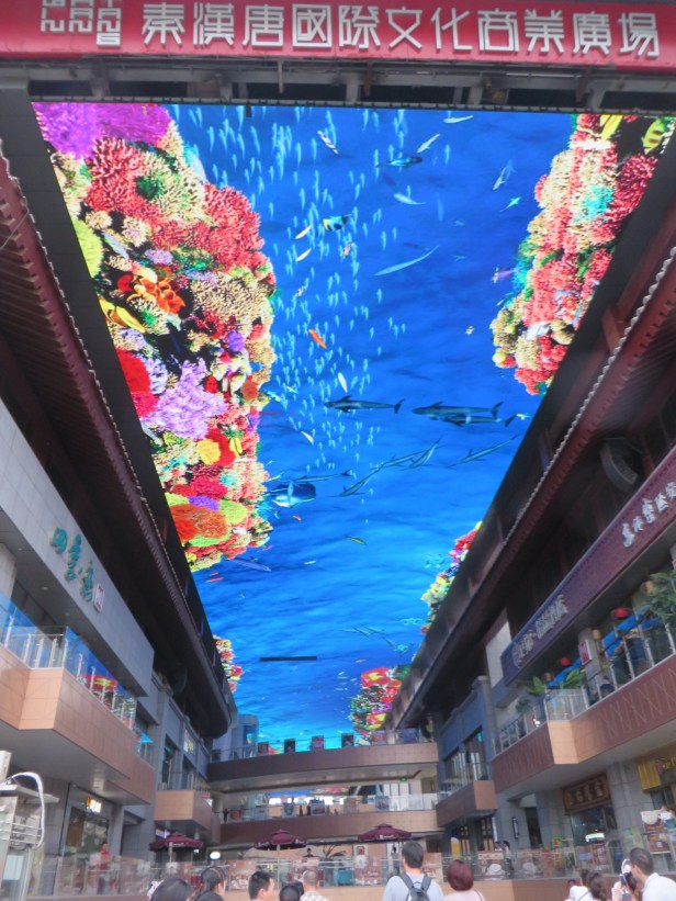 A new multi-story shopping mall has a huge, ginormous animated “TV screen” ceiling, where scenes of a tropical ocean were played over our heads, making it seem like we were in the bottom of an enormous aquarium. The scenes change to winter ski scenes, hot airballoons, or watching flying geese overhead etc., and of course the less exciting interspersed ads.