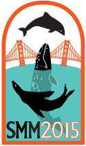 smm-2015-logo