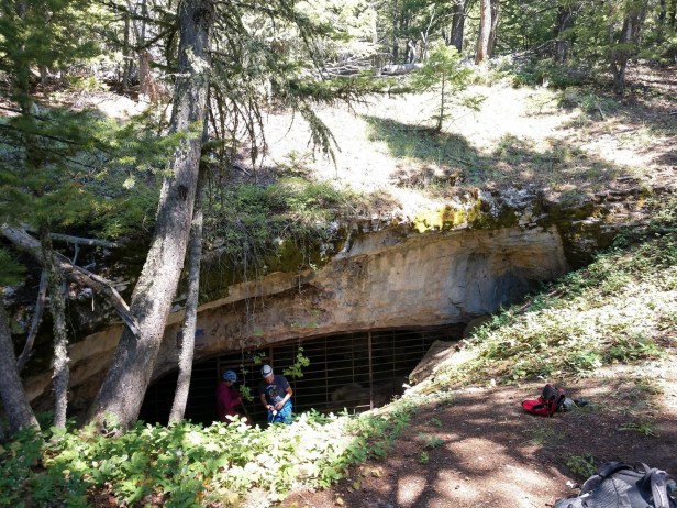 Penelope Vorster, USFS, Custer Gallatin NF, unlocking a cave gate to lead bat survey trip, Pryor Mountains, 2019.
