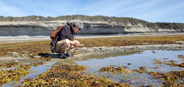 3. Conducting bedding plane counts of fossils on the western coast of Anticosti Island (Québec, Canada). Rocky wave-cut tidal benches along the western coast of Anticosti provide unparalleled access to bedding planes and allow you to walk across the sea floor as it was 445 million years ago!