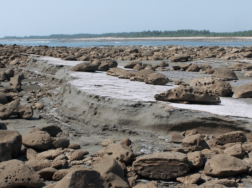 Figure 7. Wave-cut terraces are exposed along the shorefront of St. Martin’s Island, located approximately 9 km south of the tip of the Cox’s Bazar-Teknaf peninsula - forms the southernmost part of Bangladesh.  Gently dipping medium to fine grained argillaceous sandstone with interbeds of thickly laminated shale of Boka Bil Formation (Upper Miocene) are prominently exposed.  A veneer of calcareous boulders is found near the axial region of St. Martin’s anticline, St. Martin's Island, Chittagong, Bangladesh.
